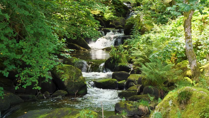 Biggest Wild Waterfall in Germany