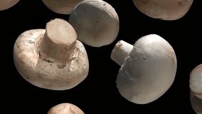 Close-up of the champignon mushrooms falling down on the black background in slow motion. High quality 4k footage - Powered by Shutterstock - Get 15% off with code: PIKWIZARD15