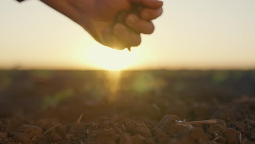 Closeup view of male hands with soil against beautiful agricultural field. Farmer in farmland, soil treatment and cultivation, agro industrial complex in eco region, timeless and endless, slow motion