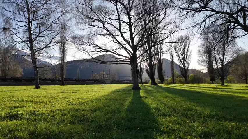 Swiss Park, nature, sun between tree , mountains highlights fresh air recreational