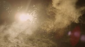 LENS FLARE: Sunlight streams through cloud of mist in a quiet forest, casting a golden glow on surrounding trees. Haze creates a soft, ethereal atmosphere, making the scene feel peaceful and serene. - Powered by Shutterstock - Get 15% off with code: PIKWIZARD15