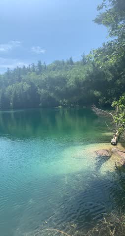Water and nature trees and lake