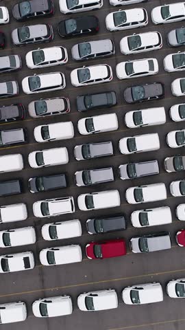 Lot of Export New Car for Sale Vertical Video