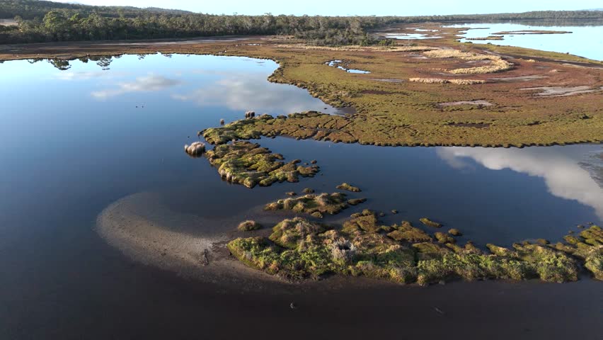 Aerial birds eye shot of wetland with plants and bush near Coles Bay, Tasmania. Sunset time with reflection at Moulting Lagoon Game Reserve.