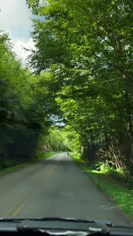 Driving through the woods at a in the Pisgah National Forest near Burnsville, North Carolina USA close to the Blue Ridge Parkway.