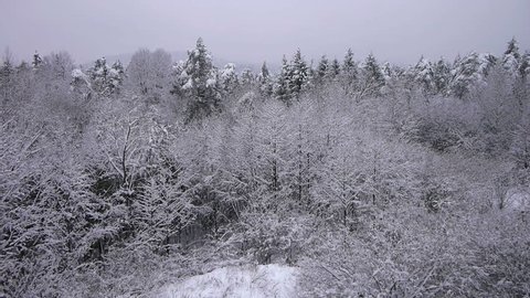AERIAL: Snowing in nature
