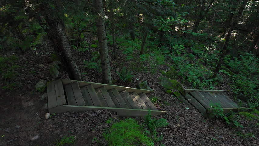 Trekking hiking trail pathway in forest. Path to the lake from the cabin hut house. Adventure explores nature landscape and lush greenery. Mysterious stairs in the deep forest. Fantasy woodland.