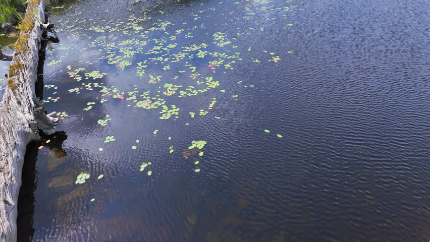 Tranquil lake panoramic view in Vancouver, Canada, North America. Waterfront with rocks, pebbles and wood in slow motion at summer day during travel. Lake in mountains with blue sky and white clouds.