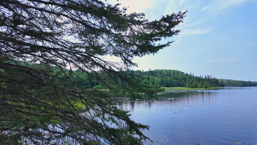Tranquil lake panoramic view in Vancouver, Canada, North America. Waterfront with wild remote forest in slow motion at summer day during travel. Lake in mountains with blue sky and white clouds.