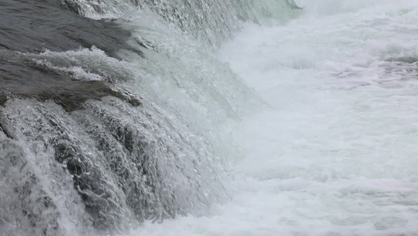 Salmon jumping up brooks falls in Alaska