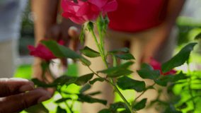 Retired ethnic couple enjoying tending flowers in garden close up Healthy Lifestyle - Powered by Shutterstock - Get 15% off with code: PIKWIZARD15