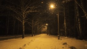 Night winter park in snowfall. Yellow lighting from a lamppost. Slow motion. Winter background, screensaver
 - Powered by Shutterstock - Get 15% off with code: PIKWIZARD15