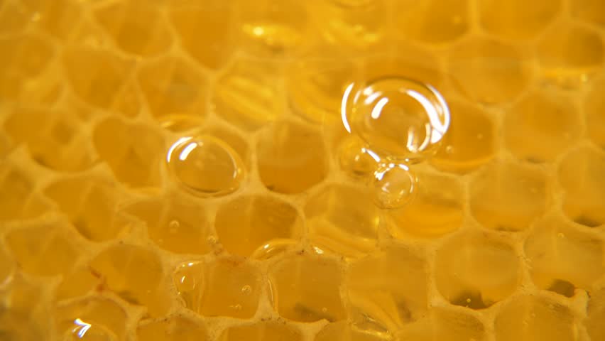 Natural honey pouring and flowing from honey comb, closeup golden honeycomb