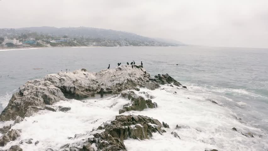 Aerial parallax shot of pelicans standing on rocks in the Pacific Ocean near Laguna Beach, California