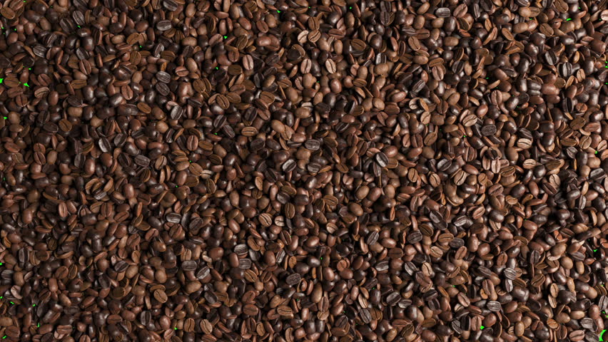 Top view of Coffee beans animation turning rotation exploding movement for transition isolate on green screen background.