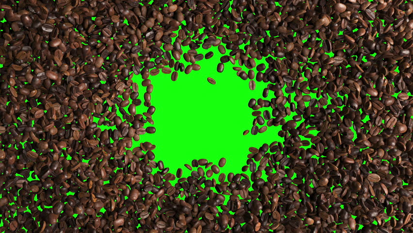 Top view of Coffee beans animation turning rotation exploding movement for transition isolate on green screen background.