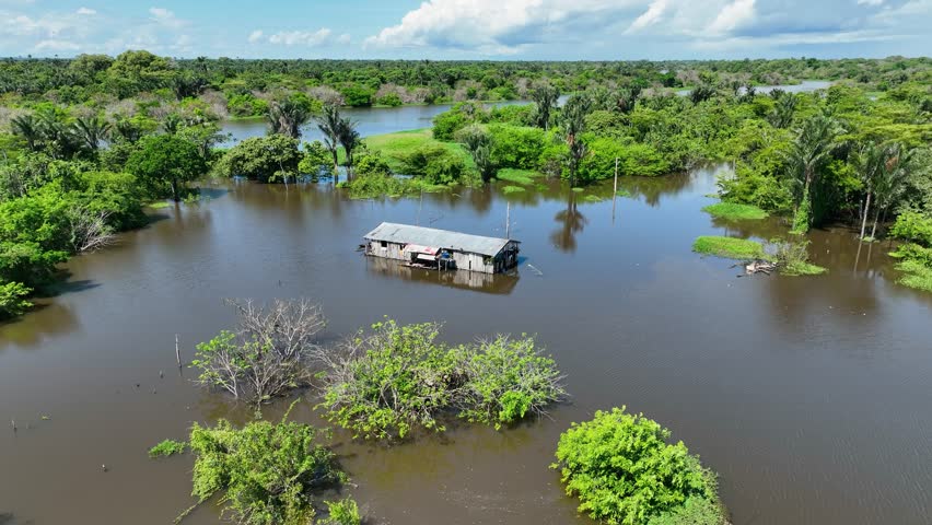 Amazonian Forest At Manaus Amazonas Brazil. Amazon River Showing Lush Green Foliage And Riverboats. Forest Environmental Amazon Green. Forest Wilderness Panorama. Manaus Amazonas.