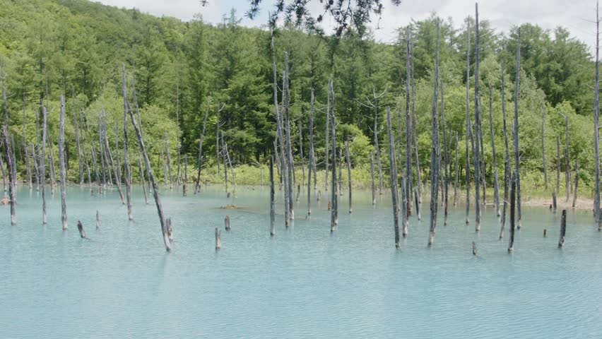 The scenic beauty of Blue Pond in Furano, Japan
