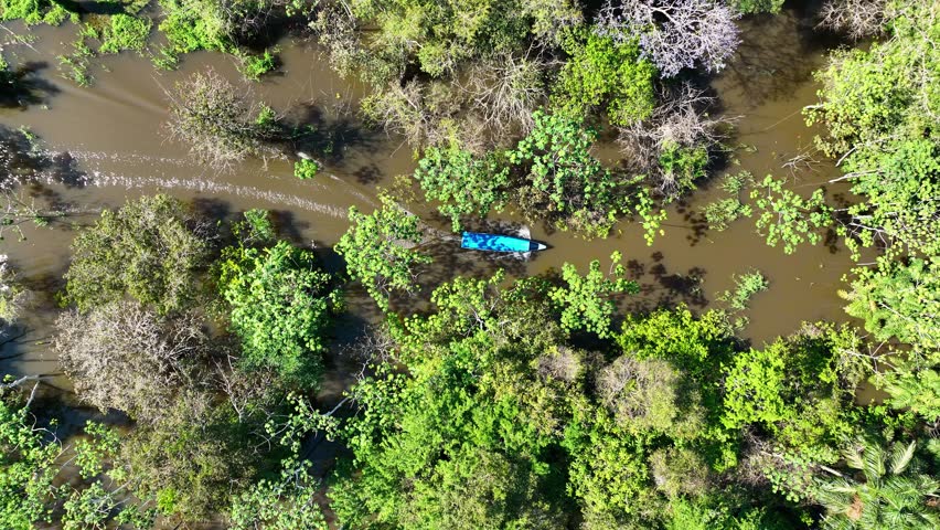 Boat Sailing At Manaus Amazonas Brazil. Tourists Enjoying Boat Trip Over Tropical Water Scenery. Suriname Nature Forest Brazil Bay. Suriname Green. Manaus Amazonas. Boat Sailing at Amazon River.