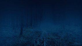 Misty Woodland Trail In The Dark - Powered by Shutterstock - Get 15% off with code: PIKWIZARD15