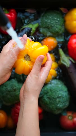 Woman washing vegetables in sink under running water in kitchen close-up. Person washing fresh farm and local tomatoes, eggplant, broccoli and peppers. Vertical video