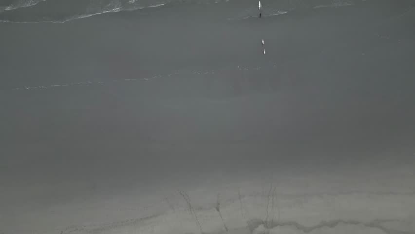 Top-down aerial view of a surfboard with two goats and a dog, waves splashing at the West Coast of Oregon, capturing an extraordinary surfing adventure.