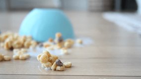 Spilled breakfast cereal on floor - Powered by Shutterstock - Get 15% off with code: PIKWIZARD15