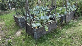 Raised beds for vegetables in garden. Gardening concept. Permaculture. - Powered by Shutterstock - Get 15% off with code: PIKWIZARD15