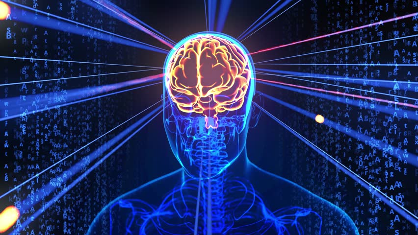 Levels of Human Intelligence 3D Rendering