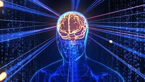 Levels of Human Intelligence 3D Rendering - Powered by Shutterstock - Get 15% off with code: PIKWIZARD15