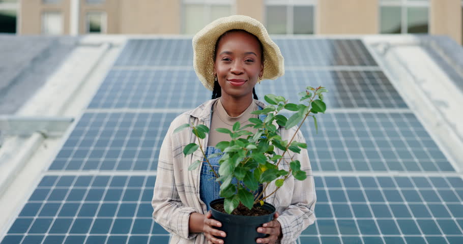 Happy, black woman and farmer with plant or solar panel for eco friendly and sustainable future in city. Portrait, young African or female person with renewable energy for natural growth in Jamaica