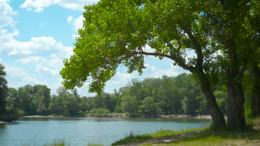 Calm lakeside atmosphere with green tree. A view of lake side with calm water and green trees during day time.