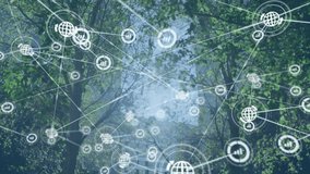 Network of connections and data processing animation over forest background. Technology, connectivity, digital, environment, AI, nature - Powered by Shutterstock - Get 15% off with code: PIKWIZARD15