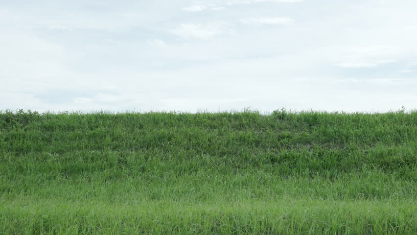 A Family Cycling Along the Green Riverbank  |  Tokyo, Japan
