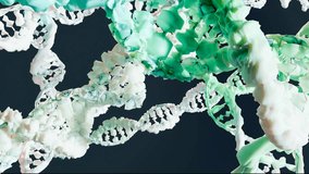 DNA on black background. nucleic acid, DNA double helix spiral molecule structure. human genome, Biological and Science and medicine concepts, Deoxyribonucleic Acid, genetic diversity, 3d render - Powered by Shutterstock - Get 15% off with code: PIKWIZARD15