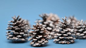 Christmas decoration pine cones close up - Powered by Shutterstock - Get 15% off with code: PIKWIZARD15