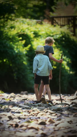 Brothers walk together on a rocky creek path, carefully supporting each other as they traverse the uneven terrain, with a lush, verdant backdrop enhancing their journey through nature