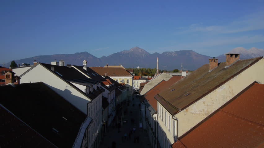 AERIAL: Rooftops with birds flying by