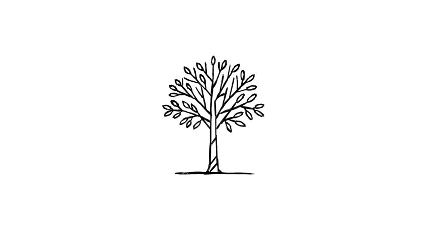 Elegant Hand-Drawn Tree Illustration for Design Projects