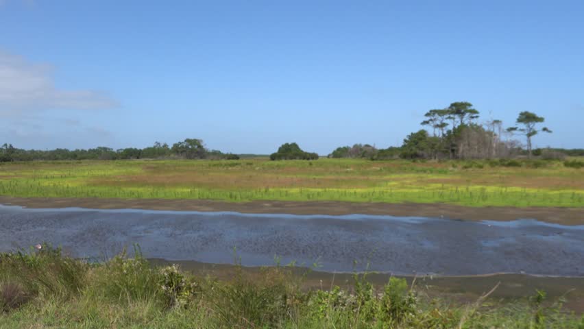 Chincoteague, Virginia, USA Wetands in the Chincoteague National Wildlife Refuge.  
