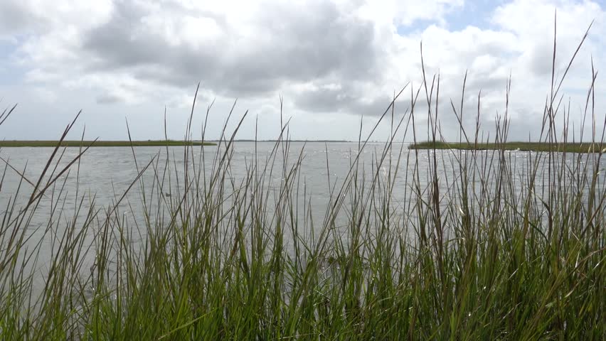 Chincoteague, Virginia, USA Wetands in the Chincoteague National Wildlife Refuge.  