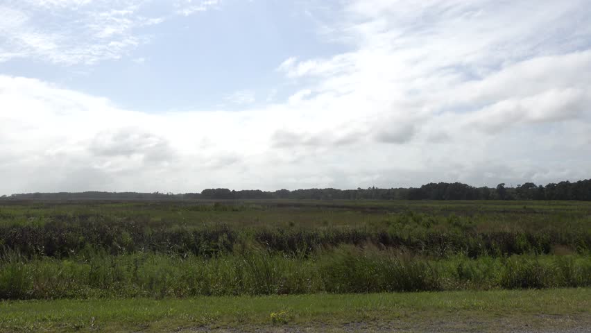 Chincoteague, Virginia, USA Wetands in the Chincoteague National Wildlife Refuge.  
