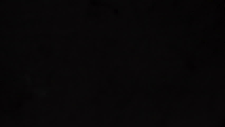 American Quarter Flipping into Frame