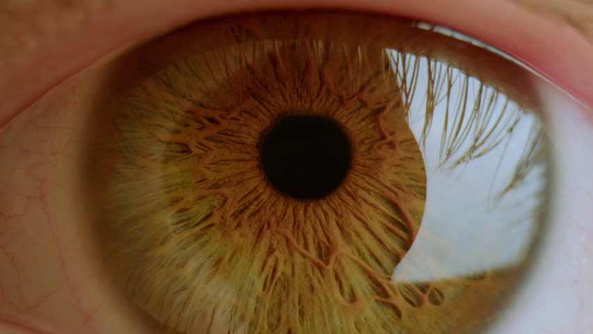 Brown eye of man looking into camera, eyelashes reflected on eyeball surface. Extreme close-up view