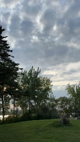 Time-lapse at Point at Léon-Gravel Park at sunset, vertical composition, Seagull walking on the grass, wind blowing the branches