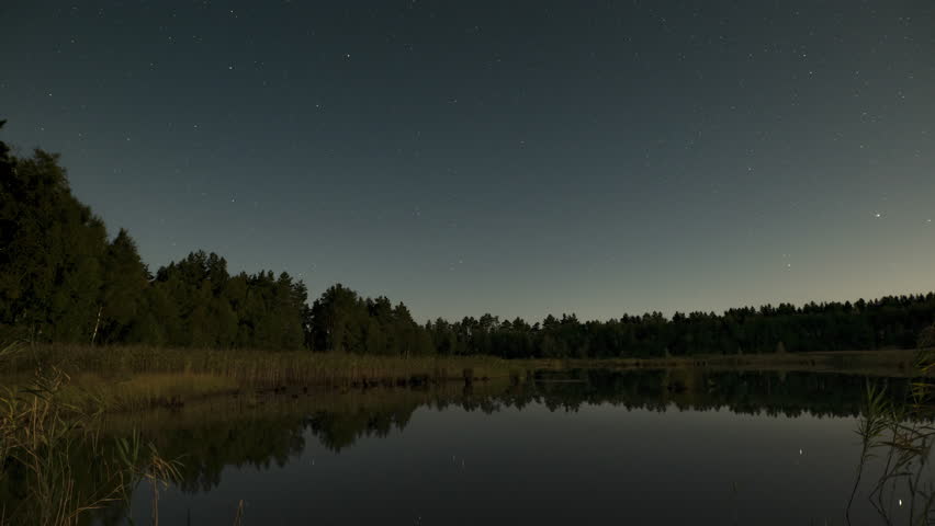 Time lapse of stars move in the night sky. Experience a tranquil moment by a peaceful pond surrounded by trees, illuminated by soft moonlight and twinkling stars in the evening sky.