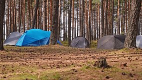 Summer Hiking Camp Tents Pitched Up Among Coniferous Forest Trees  - Powered by Shutterstock - Get 15% off with code: PIKWIZARD15