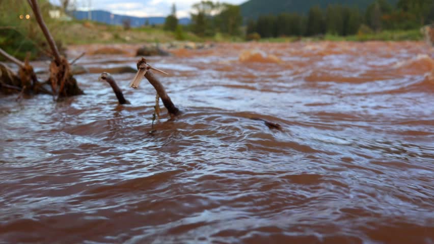 The image shows a fast-flowing river with a branch floating on the surface. The water is murky and brown. The background of the image is a blur of trees and mountains.