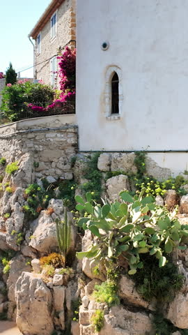 Plants growing near stone buildings in Antibes, France. Vertical