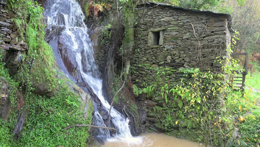 Close-up of a water mill in the forest, next to a waterfall.